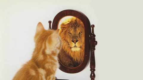 Perfectionism and self-confidence: Mutually exclusive terms